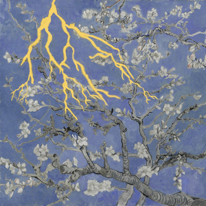 欧美人与性口性校配
